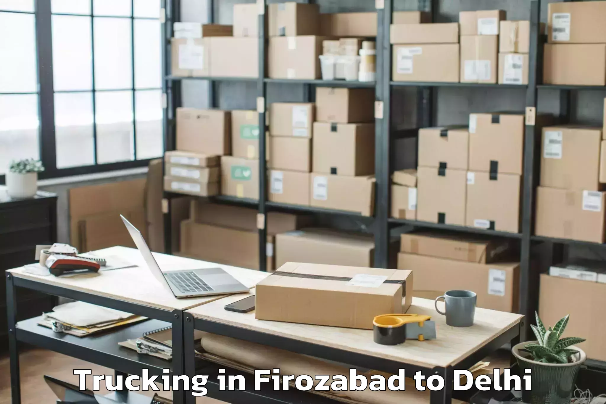 Leading Firozabad to Unity One Mall Janakpuri Trucking Provider